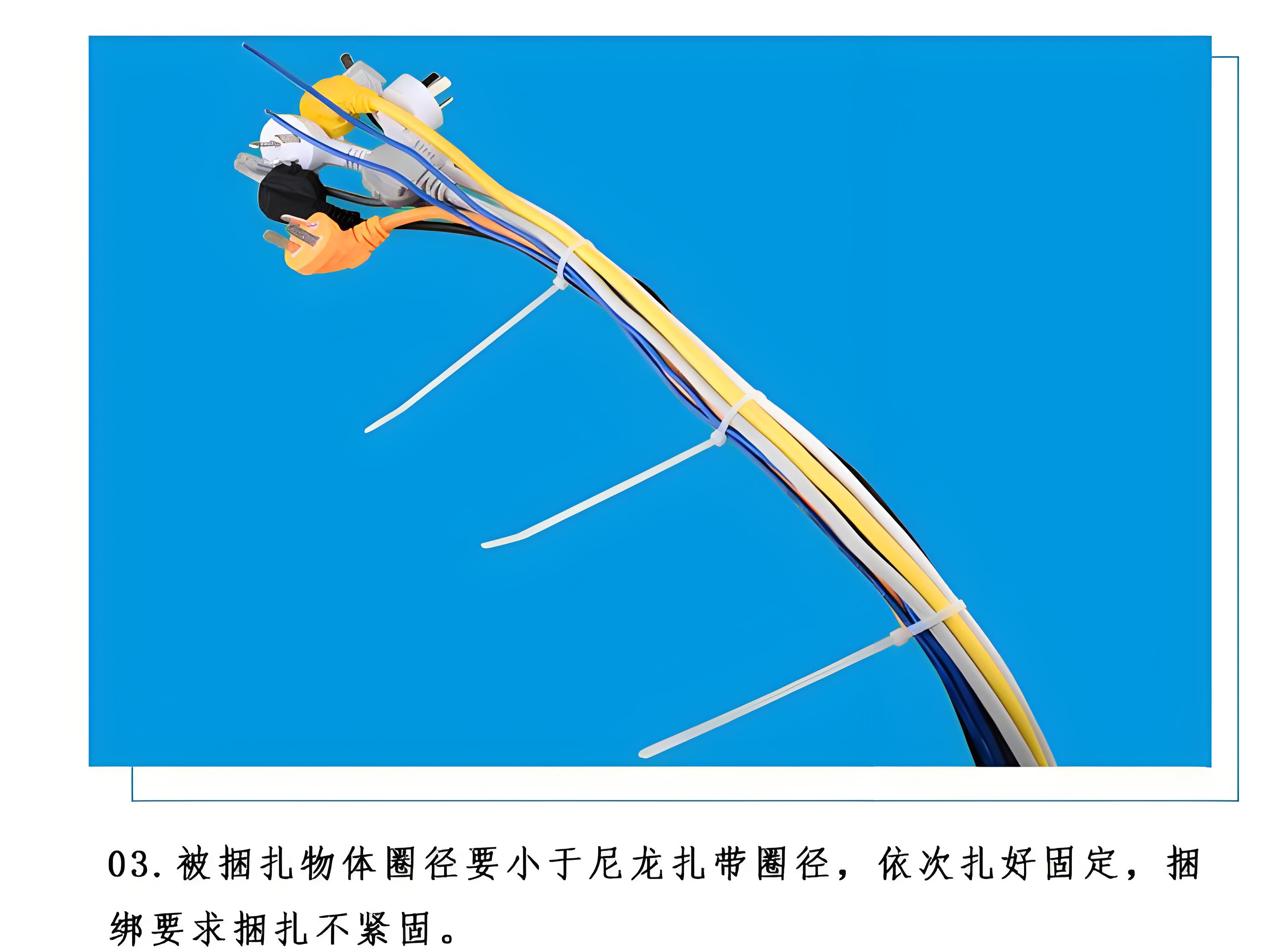 尼龍扎帶在日常活動管理中的應用